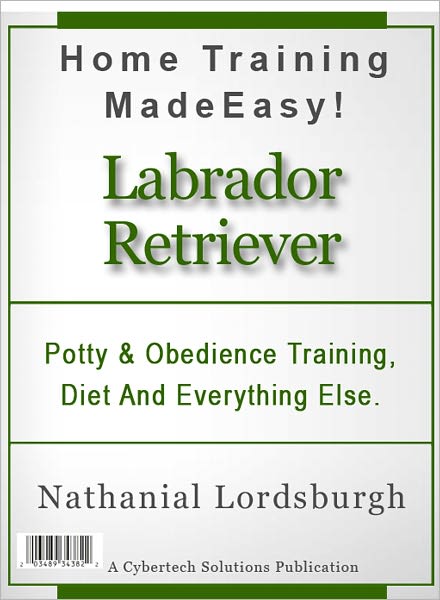 Potty And Obedience Training, Diet And Everything Else For Your Labrador Retriever