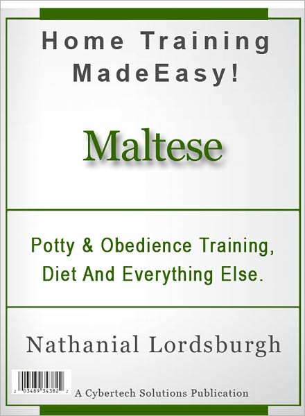 Potty And Obedience Training, Diet And Everything Else For Your Maltese