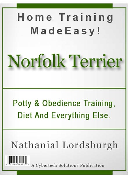 Potty And Obedience Training, Diet And Everything Else For Your Norfolk Terrier