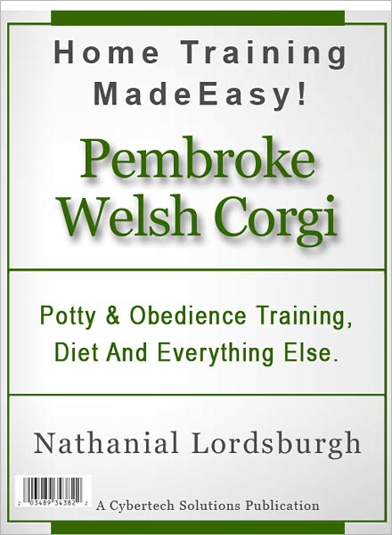 Potty And Obedience Training, Diet And Everything Else For Your Pembroke Welsh Corgi