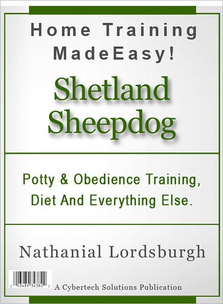 Potty And Obedience Training, Diet And Everything Else For Your Shetland Sheepdog