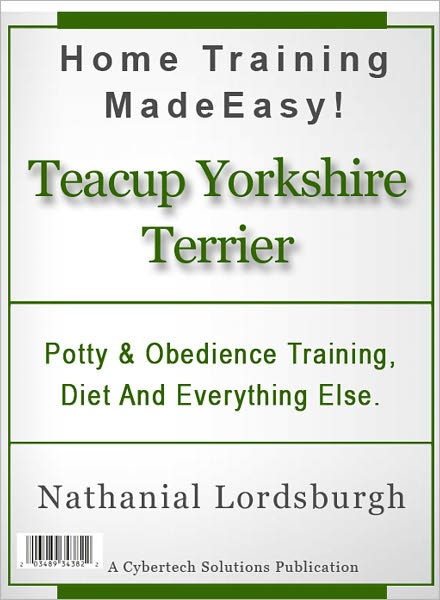 Potty And Obedience Training, Diet And Everything Else For Your Teacup Yorkshire Terrier