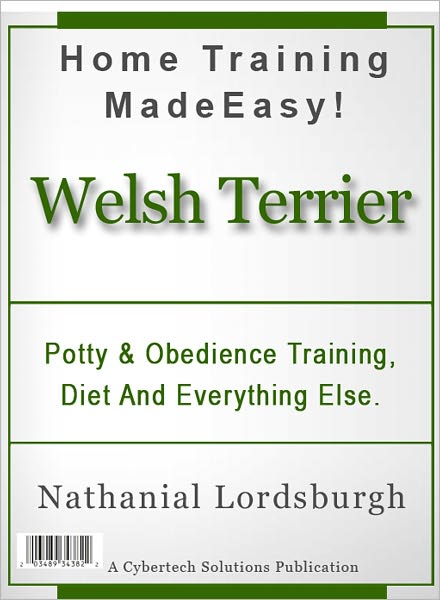 Potty And Obedience Training, Diet And Everything Else For Your Welsh Terrier