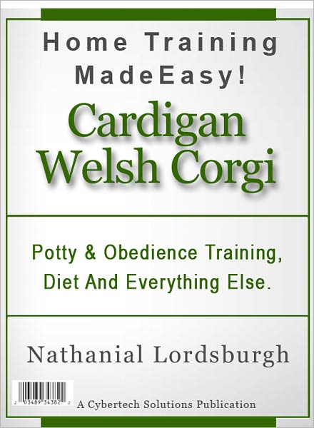 Potty And Obedience Training, Diet And Everything Else For Your Cardigan Welsh Corgi