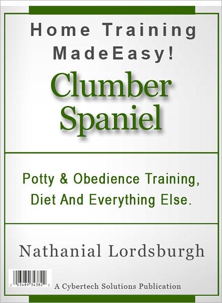 Potty And Obedience Training, Diet And Everything Else For Your Clumber Spaniel