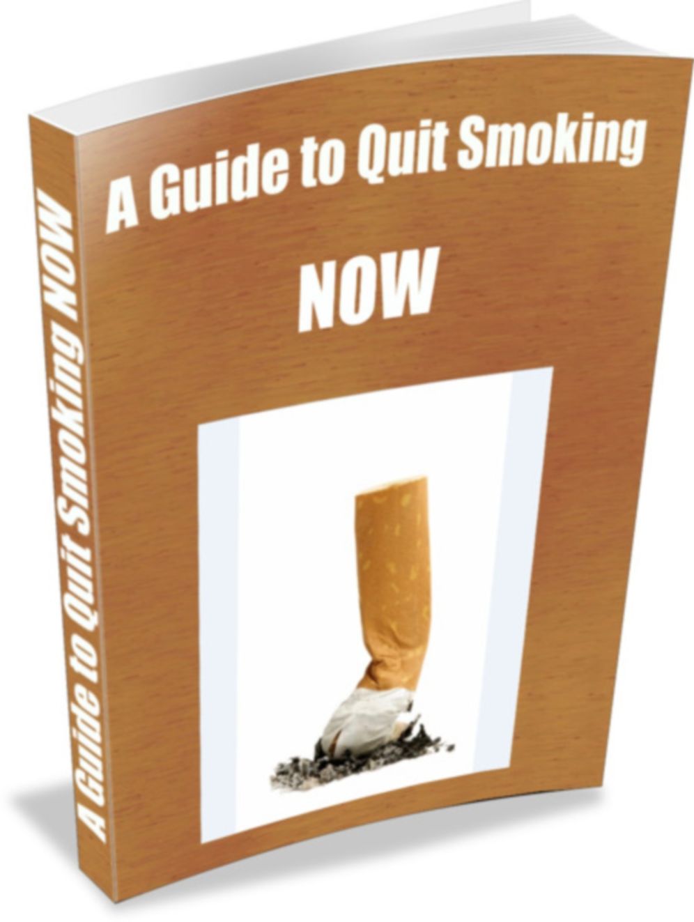 A Guide to Quit Smoking NOW Do You Know That Around 1000 Americans Are Dying Every Day Because of Smoking?