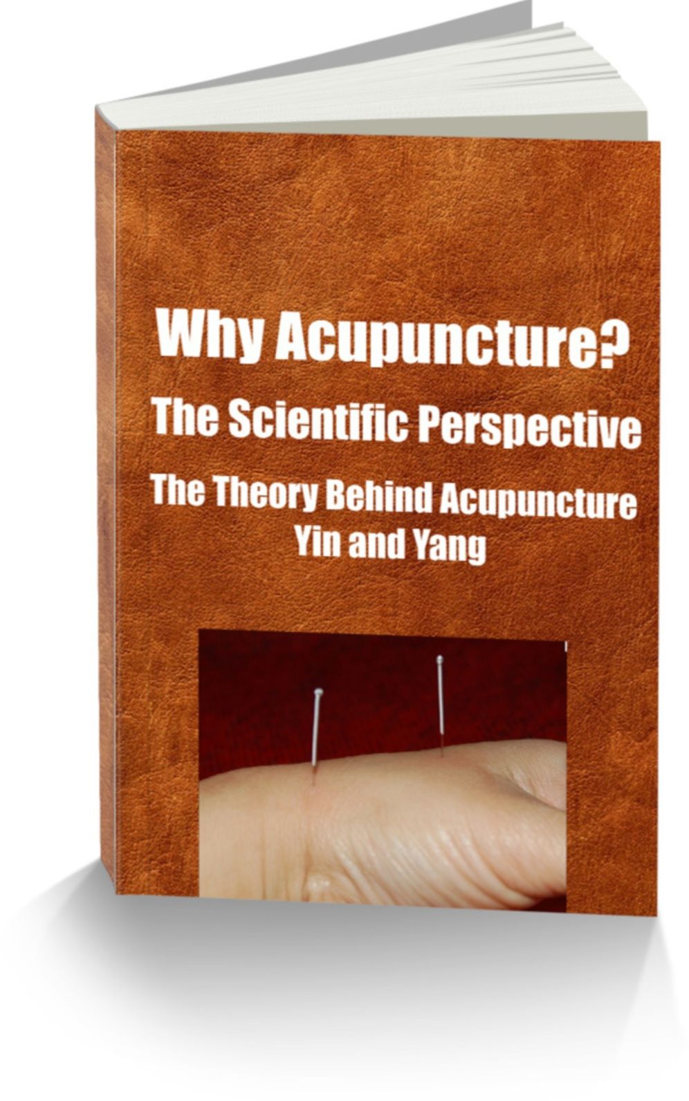 Why Acupuncture? The Scientific Perspective-The Theory Behind Acupuncture-Yin and Yang