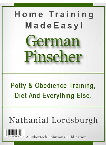 Potty And Obedience Training, Diet And Everything Else For Your German Pinscher