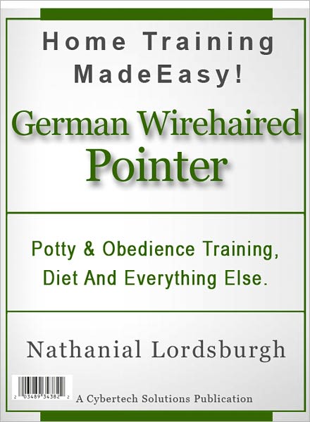 Potty And Obedience Training, Diet And Everything Else For Your German Wirehaired Pointer