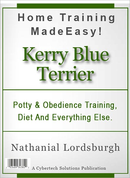 Potty And Obedience Training, Diet And Everything Else For Your Kerry Blue Terrier