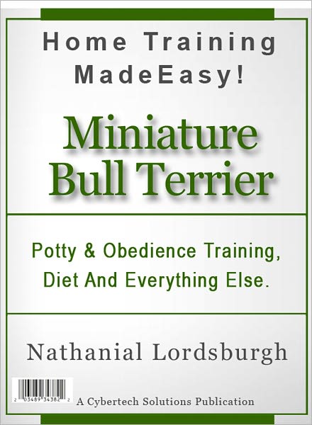 Potty And Obedience Training, Diet And Everything Else For Your Miniature Bull Terrier