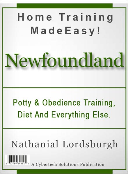 Potty And Obedience Training, Diet And Everything Else For Your Newfoundland
