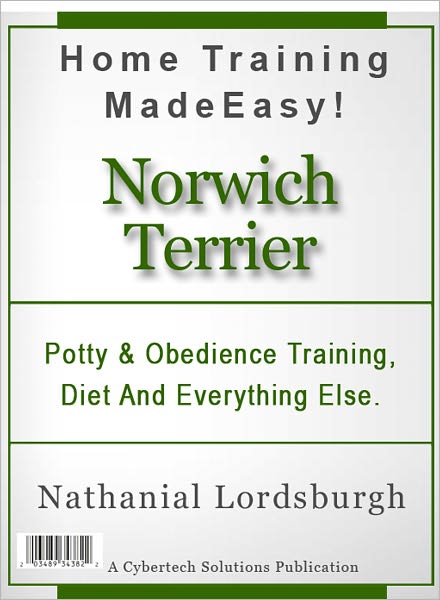 Potty And Obedience Training, Diet And Everything Else For Your Norwich Terrier