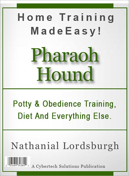 Potty And Obedience Training, Diet And Everything Else For Your Pharaoh Hound
