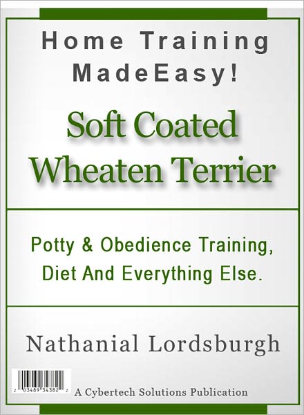 Potty And Obedience Training, Diet And Everything Else For Your Soft Coated Wheaten Terrier