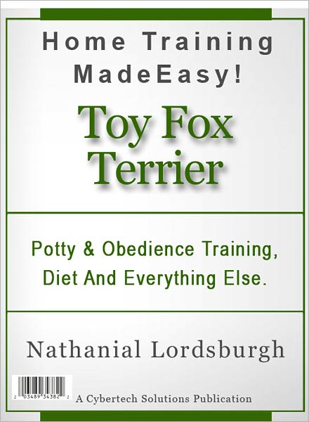 Potty And Obedience Training, Diet And Everything Else For Your Toy Fox Terrier