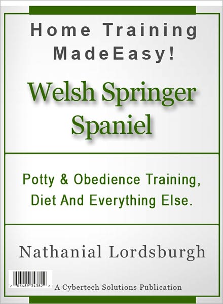 Potty And Obedience Training, Diet And Everything Else For Your Welsh Springer Spaniel