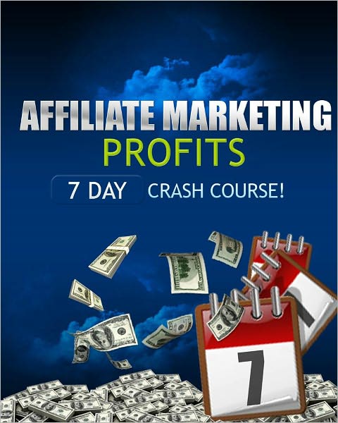 Affiliate Marketing Profits: 7 Day Crash Course