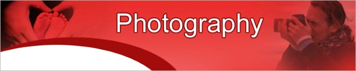 Basics Of Marco Photography