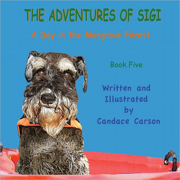 THE ADVENTURES OF SIGI-A Day In The Mangrove Forest