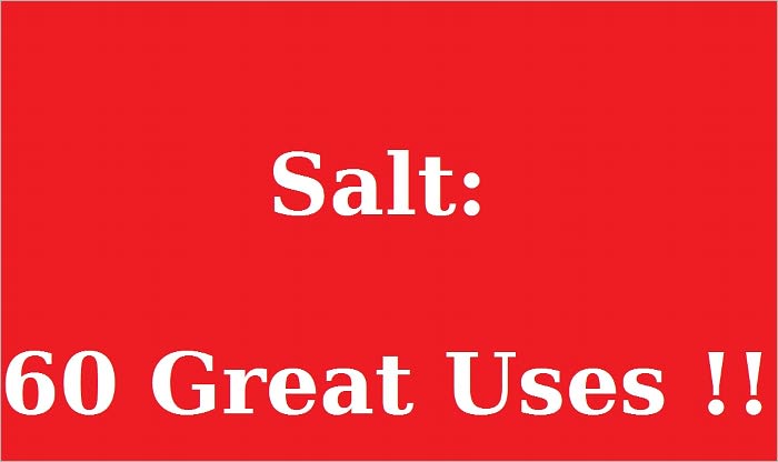 The Miracle of Salt: 60 Great Uses!!