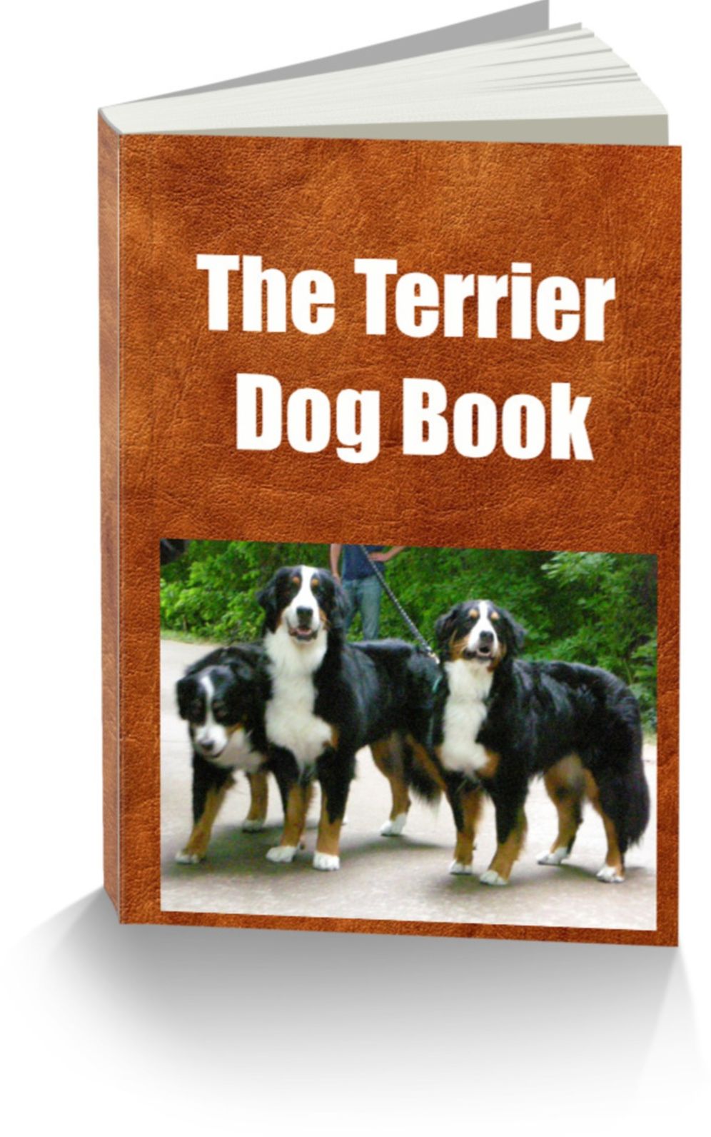 The Terrier Dog Book