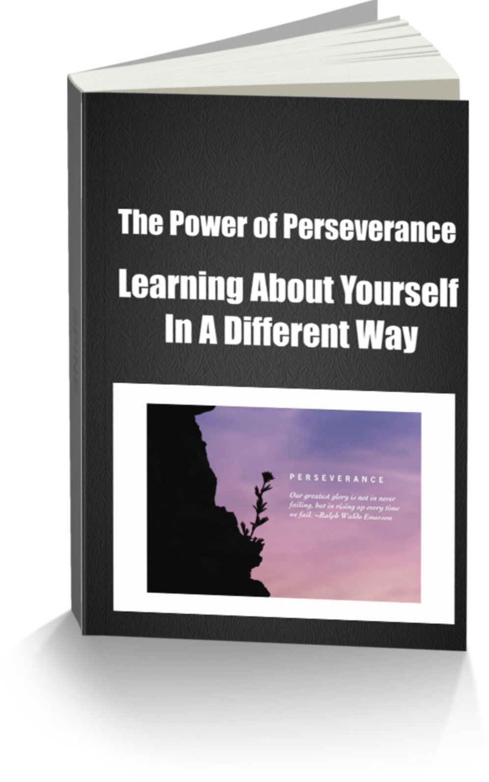 The Power of Perseverance