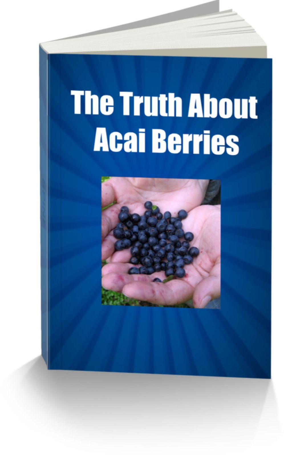 The Truth about Acai Berries-One of The Most Popular Super Foods Available Today