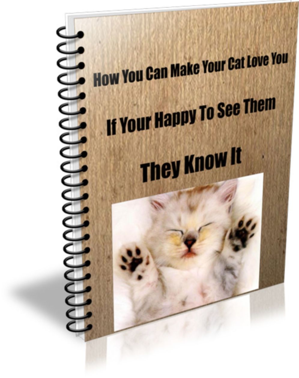 How You Can Make Your Cat Love You If Your Happy To See Them They Know It