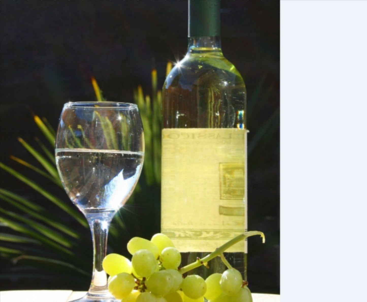 For the Wine Connoisseur Tips and Destinations Making Wine-Wine Tasting-Courses