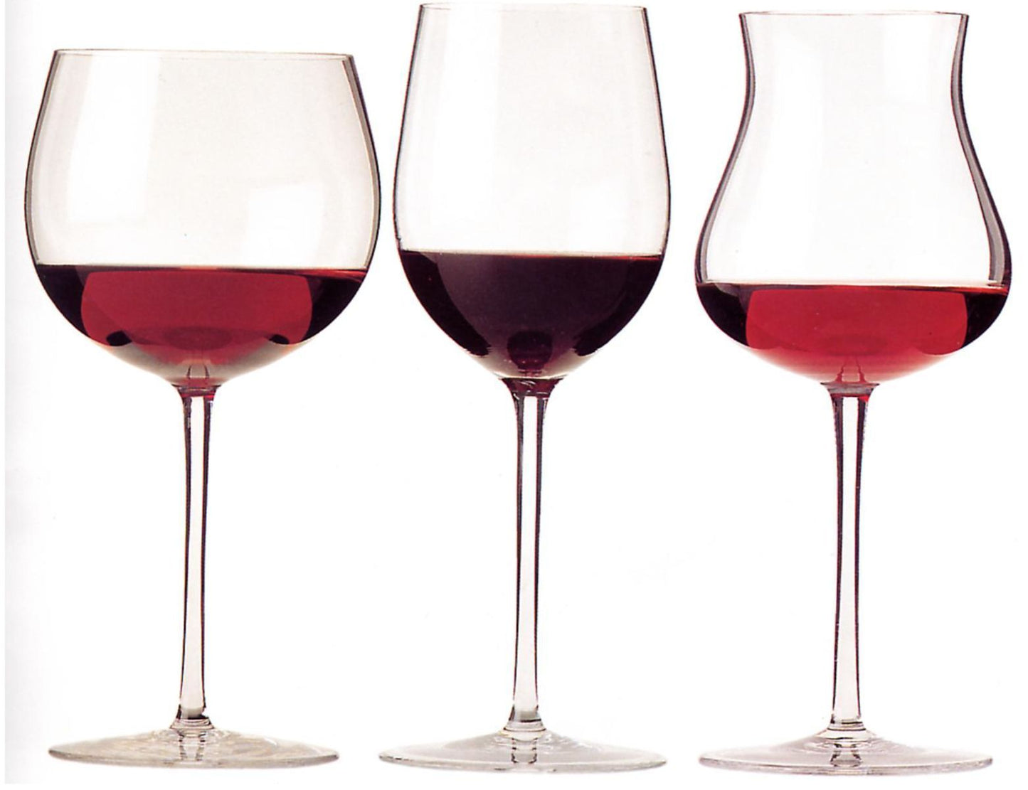 Wine Connoisseur Vacations and Ideas