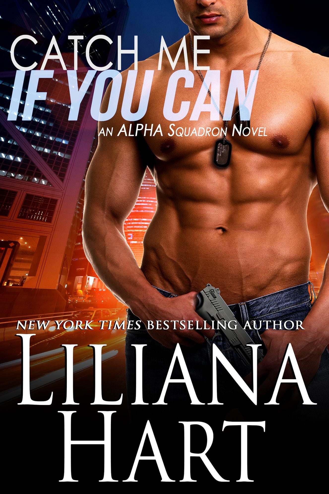 Catch Me if You Can, A Romantic Suspense