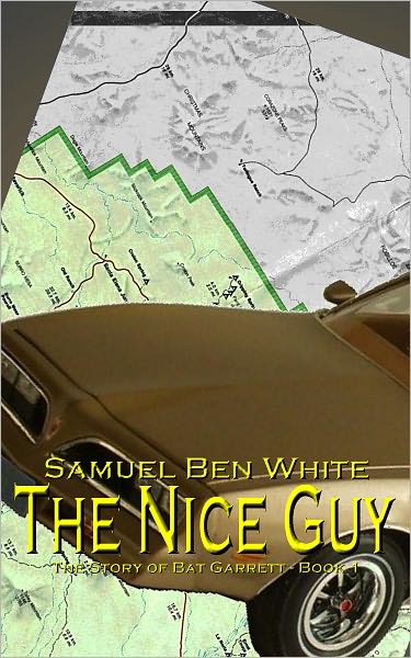 The Nice Guy