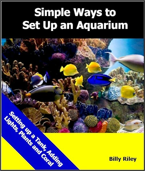 Easy Aquarium Set Up