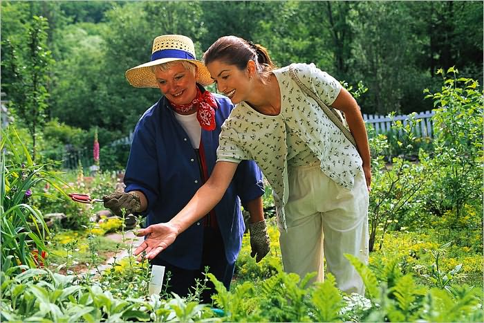 Natural Herbal Cures & Remedies