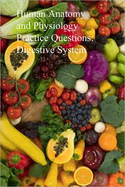 Human Anatomy and Physiology Practice Questions: Digestive System