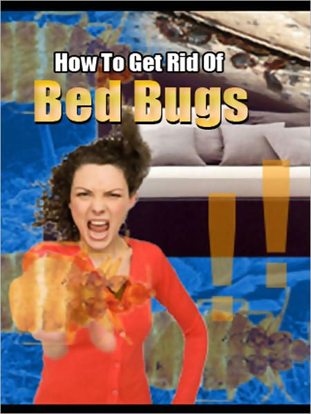 How To Get Rid Of Bed Bugs