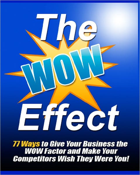 The Wow Effect: 77 Ways to give Your Business The Wow Factor