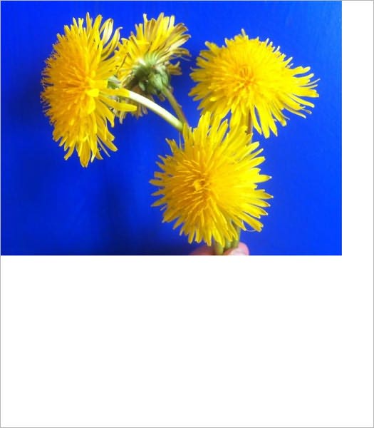 The Dandelion Conspiracy (Like Michael Crichton's Andromeda Strain, or Robin Snow's Outbreak)