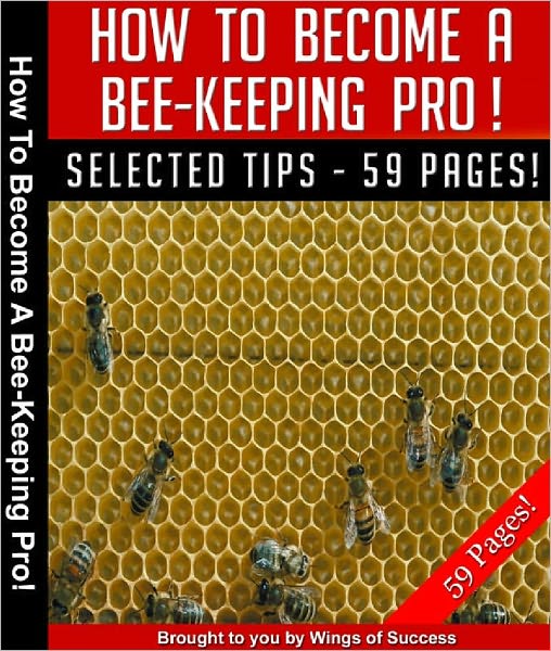 How To Become A Bee-Keeping Pro