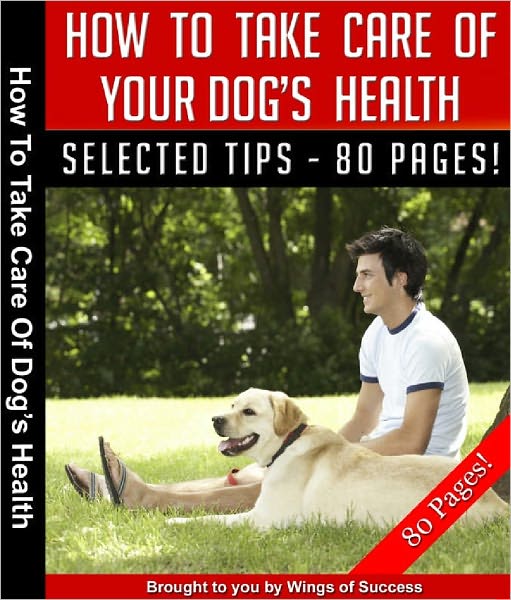 How To Take Care Of Your Dog's Health