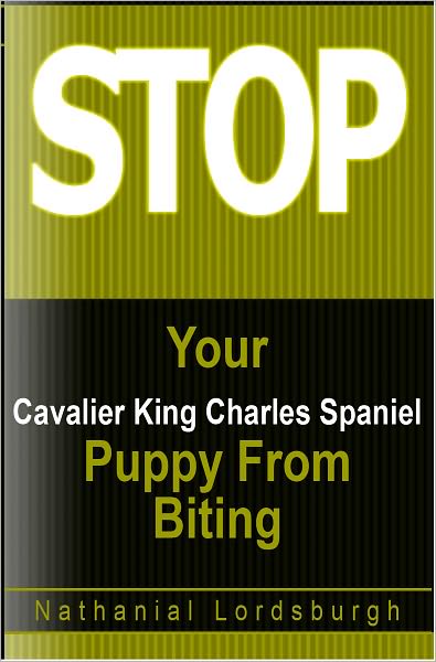 Keep Your Cavalier King Charles Spaniel From Biting