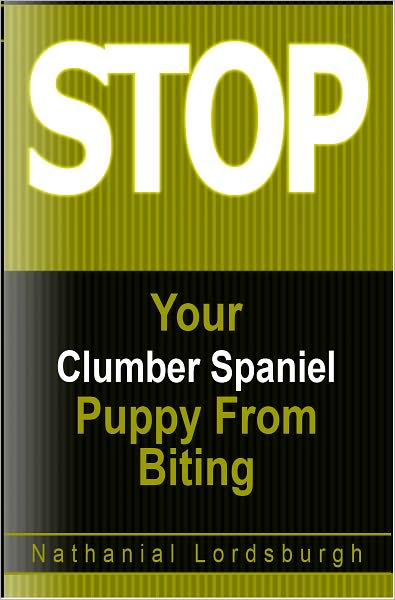 Keep Your Clumber Spaniel From Biting