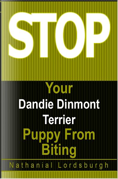 Keep Your Dandie Dinmont Terrier From Biting