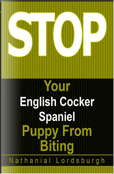 Keep Your English Cocker Spaniel From Biting