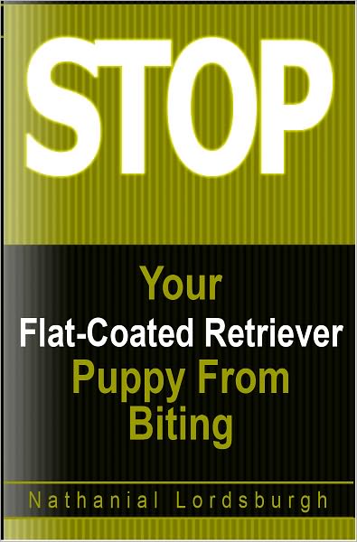Keep Your Flat-Coated Retriever From Biting