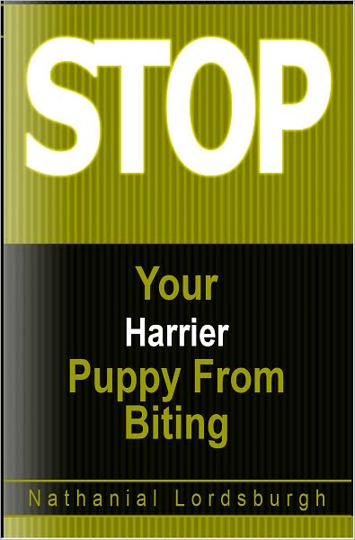 Keep Your Harrier From Biting