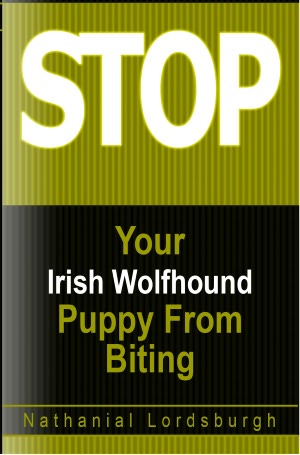 Keep Your Irish Wolfhound From Biting