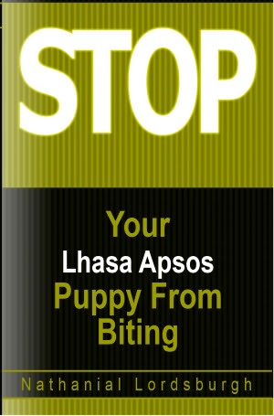 Keep Your Lhasa Apsos From Biting