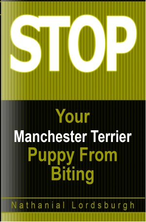 Keep Your Manchester Terrier From Biting
